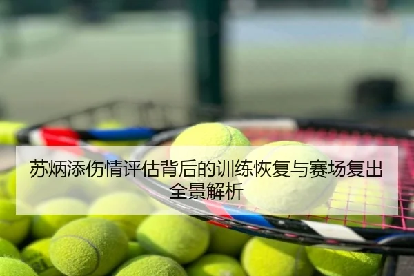 苏炳添伤情评估背后的训练恢复与赛场复出全景解析