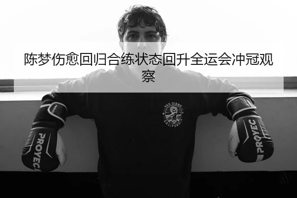 陈梦伤愈回归合练状态回升全运会冲冠观察