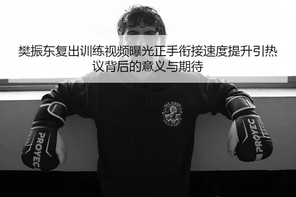 樊振东复出训练视频曝光正手衔接速度提升引热议背后的意义与期待